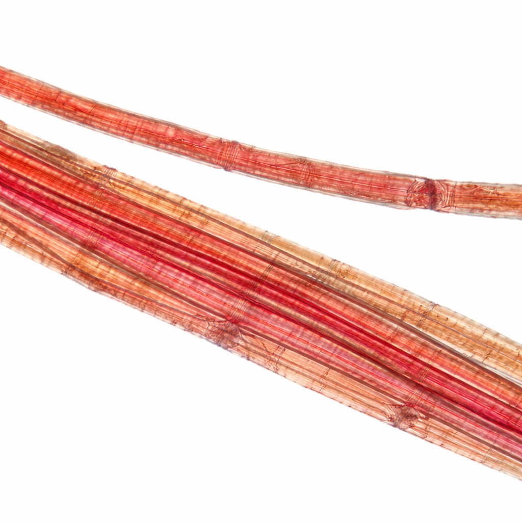 Cross-fiber detail